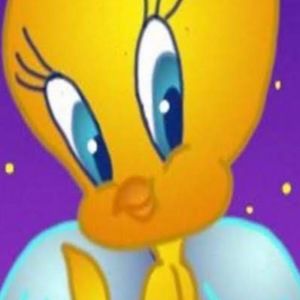 Meet your Posher, Allie-kat